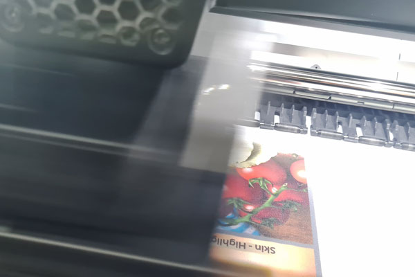 Druckkopf Inkjet Printing