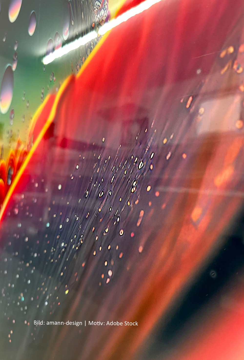 Attraktive Glasbilder mit Protect glass Schutzlaminat sind bruchsicher und PVC-frei.